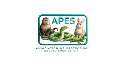 Logo of APES Intranet